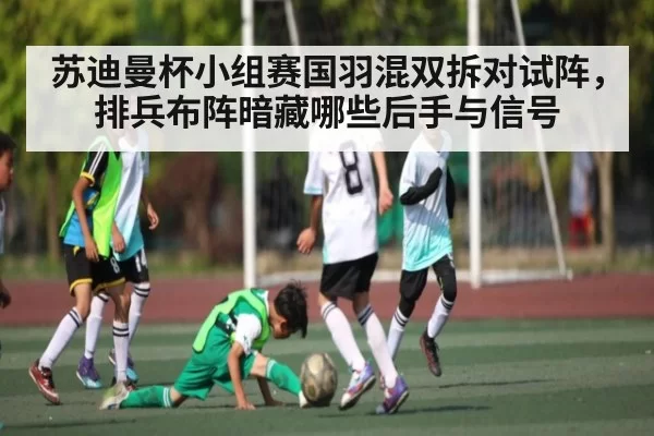 苏迪曼杯小组赛国羽混双拆对试阵，排兵布阵暗藏哪些后手与信号 - fanyadianjing